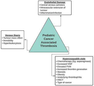 Challenges in Management of VTE in Children With Cancer: Risk Factors and Treatment Options